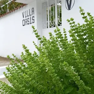 Oasis Frühstückspension